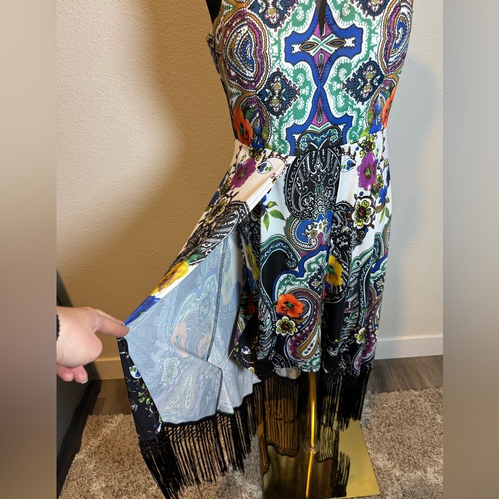 NWT Simon Chang Collection Colorful Paisley Floral Fringed Maxi Dress - Picture 5 of 13